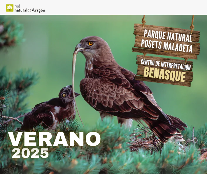 Benasque, a vista de águila | enBenas.com