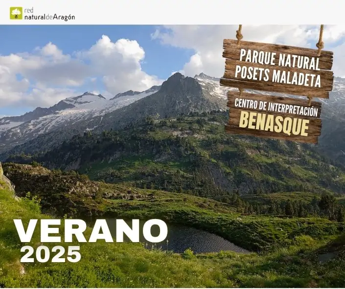 Buscando viajeros extraños en el Parque Natural | enBenas.com