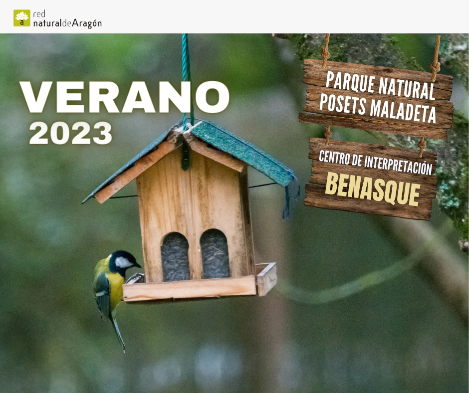 Construye una caja nido para pájaros - Verano 2023 | enBenas.com