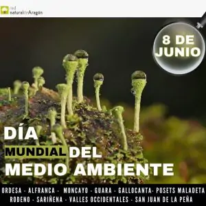 La vida a diez aumentos en Benasque | enBenas.com