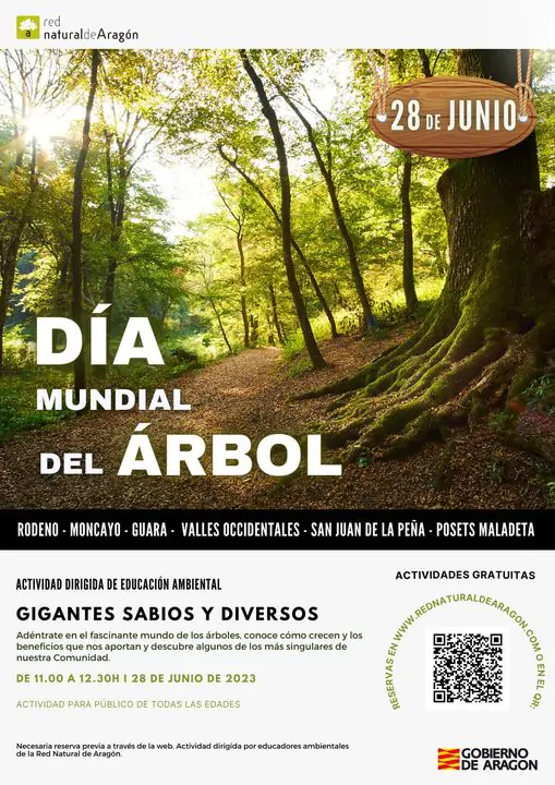 Día mundial del árbol 2023 | enBenas.com