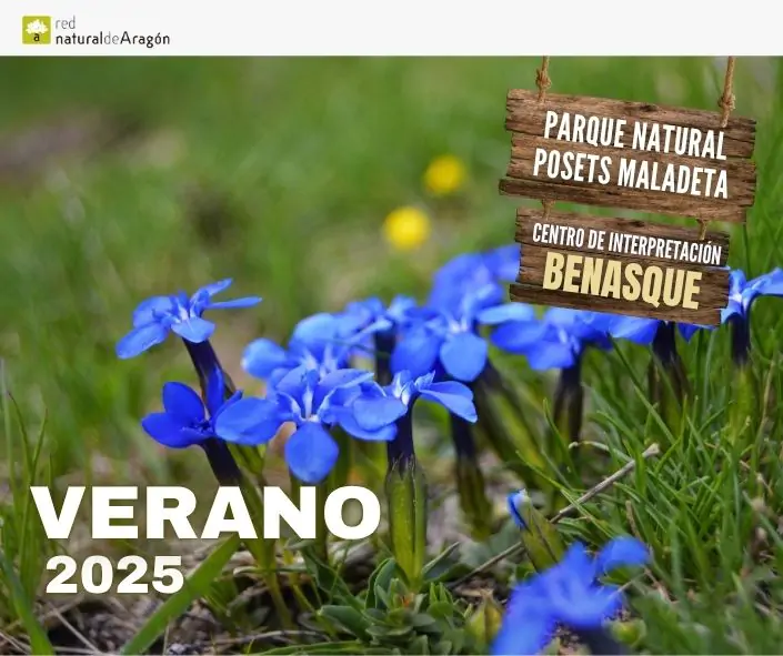 El mágico bosque de las Gorgas de Alba 2025 | enBenas.com