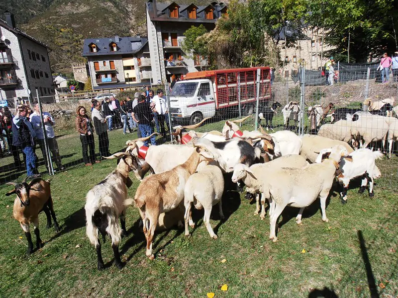 Feria Ganadera de Benasque 2023 | enBenas.com