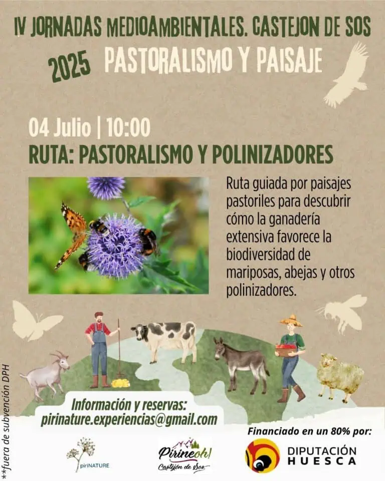 Ruta de pastoralismo y polinizadores | enBenas.com