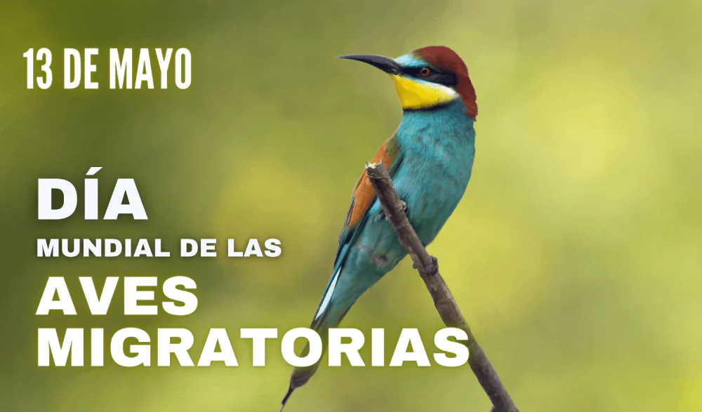 Iniciación a la ornitología en la Selva de Conques | enBenas.com