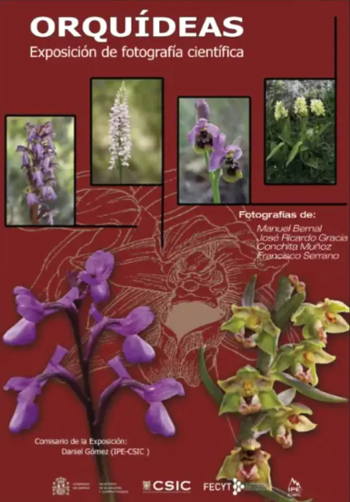 Orquídeas, exposición de fotografía científica | enBenas.com