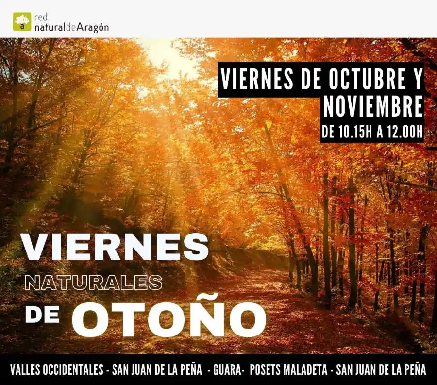 Paseos de otoño entre prados y barrancos escondidos | enBenas.com