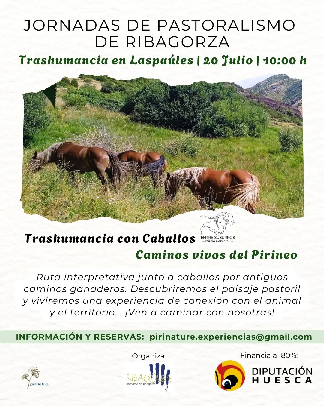 Trashumancia en Laspaúles | enBenas.com