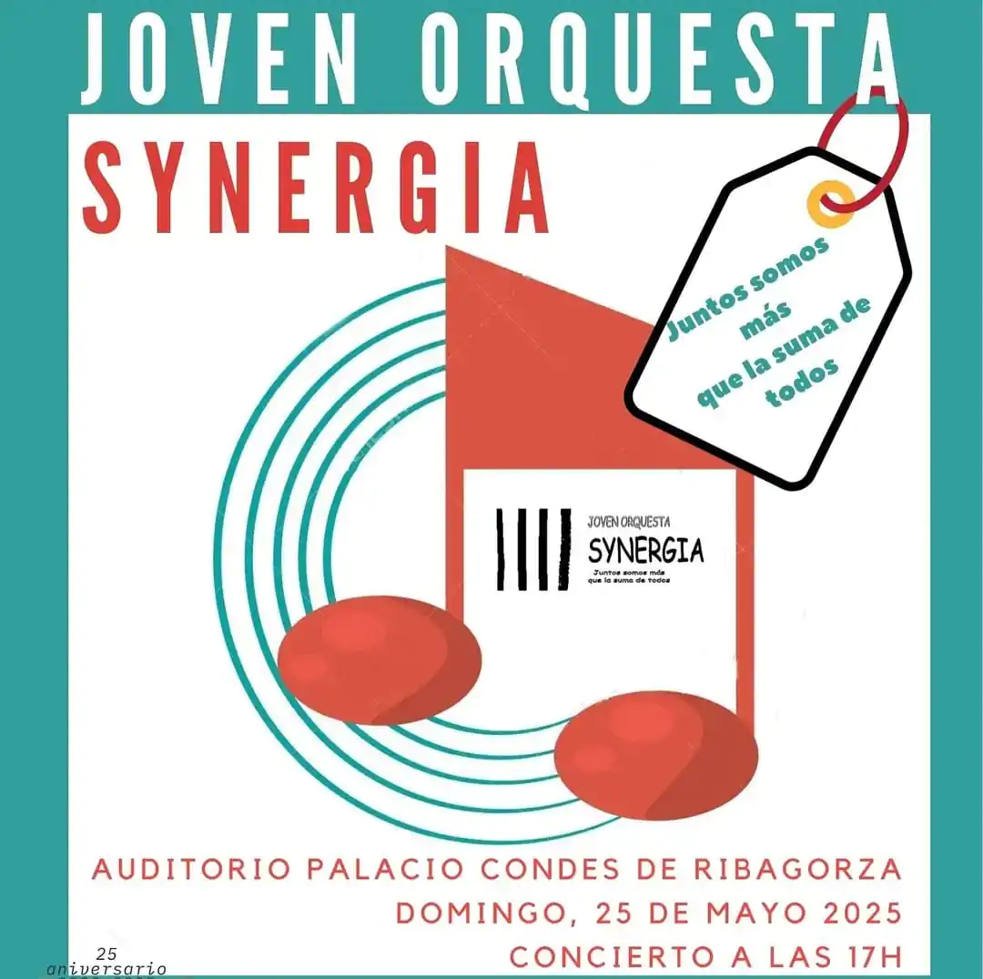 Joven orquesta Synergia en Benasque | enBenas.com