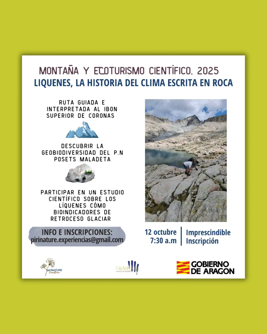 Líquenes, la historia del clima escrita en roca | enBenas.com