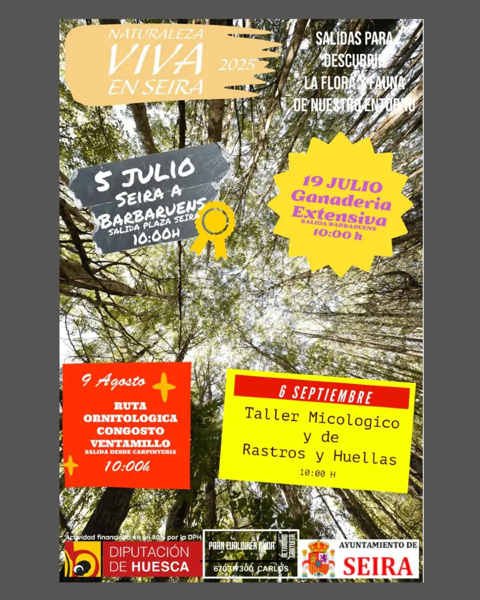 Naturaleza viva en Seira 2025 | enBenas.com